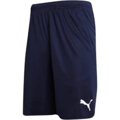 Puma Mens ESS Shorts (Black) -Athletics Store ka364a90182a09e903671223375b0504f